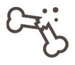 骨折・外傷整形